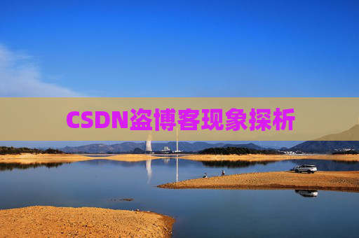 CSDN盗博客现象探析